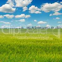 green field and blue sky