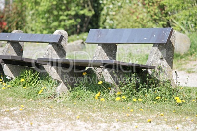 Ruhebänke im Frühling im Park