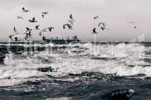 Baltic sea in stormy weather