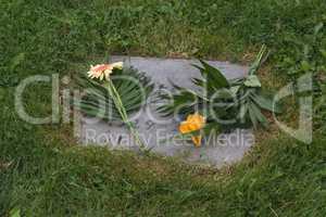 Blumen auf einer Grabplatte