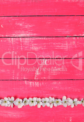 vintage wooden background with cherry blossom,