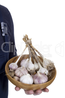 Garlic in hands