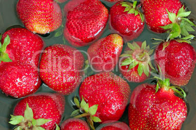 ripe red strawberries in the water