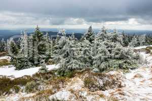 Landschaft mit Schnee auf dem Brocken im Harz