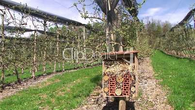 Apfelplantage und "Insektenhotel"