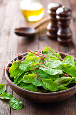 Fresh mangold leaves, swiss chard or leaf beet