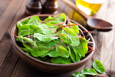 Fresh mangold leaves, swiss chard or leaf beet