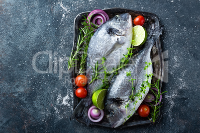 Fresh uncooked Dorado fish or sea bream with ingredients for cooking on dark background, top view