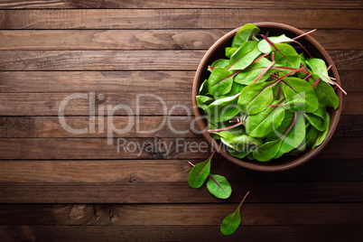 Fresh mangold leaves, swiss chard or leaf beet
