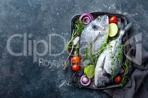 Fresh uncooked Dorado fish or sea bream with ingredients for cooking on dark background, top view