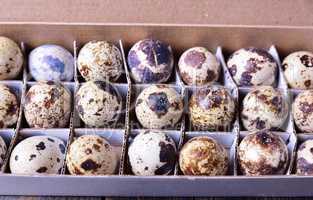 Quail eggs in a paper box with cells