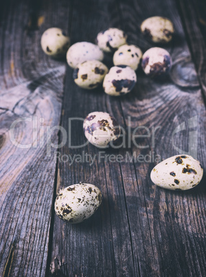 Fresh quail eggs on a gray wooden surface