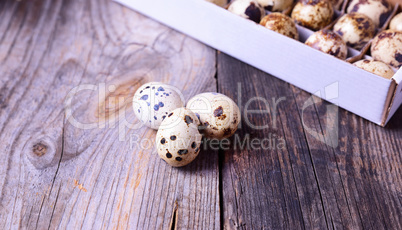 Three fresh quail eggs on a gray wooden surface