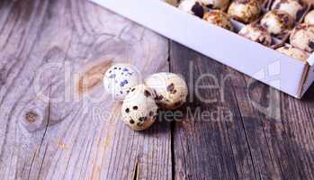 Three fresh quail eggs on a gray wooden surface