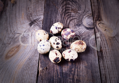 Quail raw eggs in shell on a gray wooden surface