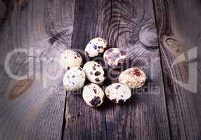 Quail raw eggs in shell on a gray wooden surface