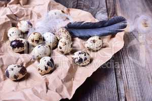 Group of quail raw eggs on brown kraft paper