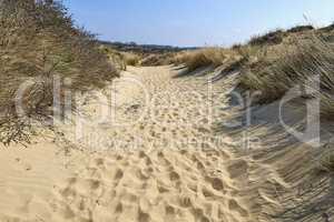 Footprints on the sand dunes