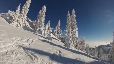 Snowboarder rides through deep powder snow in backcountry wilderness