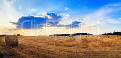 Hay bales on field