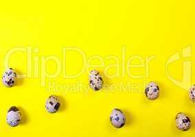 Quail eggs on a yellow surface