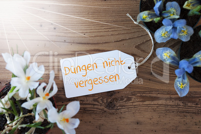 Sunny Flowers, Label, Duengen Nicht Vergessen Means Dont Forget Dung