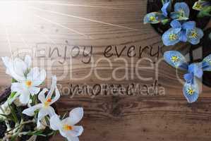 Sunny Crocus And Hyacinth, Quote Enjoy Every Moment