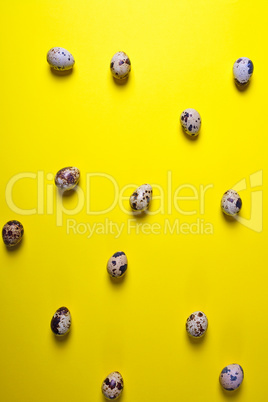 Quail raw eggs in egg shell on yellow surface