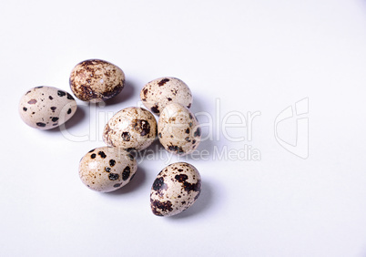 Group of quail eggs on a white surface