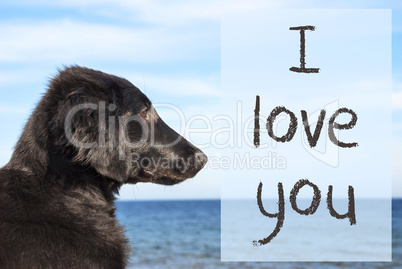 Dog At Ocean, Text I Love You