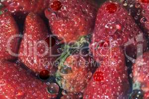 Verpackte Erdbeeren