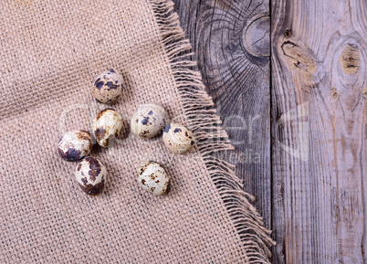 Quail eggs in the shell on the table