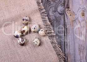 Quail eggs in the shell on the table
