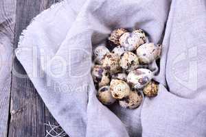 Group of quail eggs in a gray textile napkin
