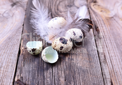 Quail eggs on a wooden table