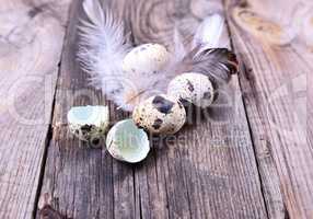 Quail eggs on a wooden table