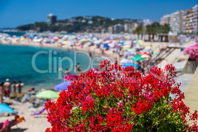 Beach on the Costa Brava (Sant Antoni de Calonge) of Spain