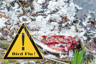 Symbolisch allgemeine Prävention gegen Vogelgrippevirus