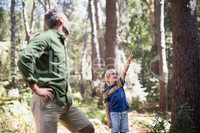 Little boy showing something to father in forest