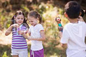 Group of friends playing with bubble wand