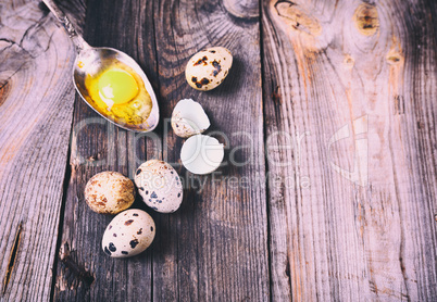 Group of quail eggs on a gray wooden surface,