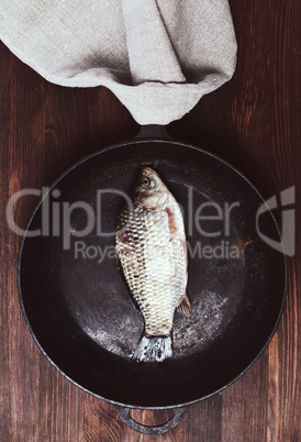 Fresh fish carp in a black frying pan