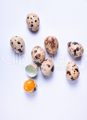 Fresh quail eggs on a white surface