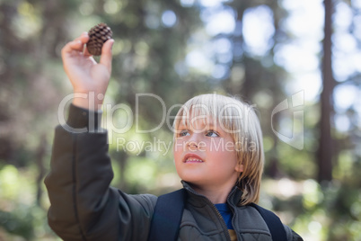 Little boy looking at pine cone in forest