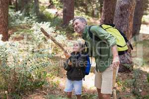Father and son enjoying nature while hiking in forest