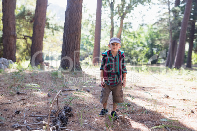 Portrait of boy hiking in forest