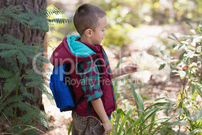Side view of boy standing by plants