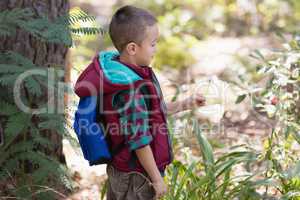 Side view of boy standing by plants