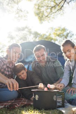 Family roasting marshmallows outside the tent