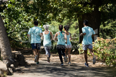 Marathon athletes walking in the park
